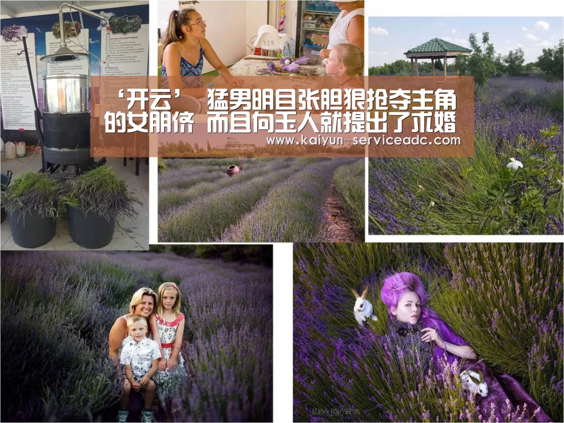 ‘开云’
猛男明目张胆狠抢夺主角的女朋侪 而且向玉人就提出了求婚(图2) 开云APP