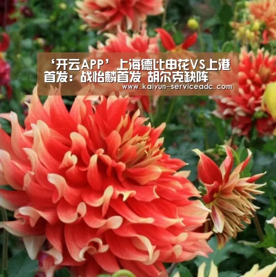 ‘开云APP’上海德比申花VS上港首发:战怡麟首发 胡尔克缺阵(图1) 开云APP