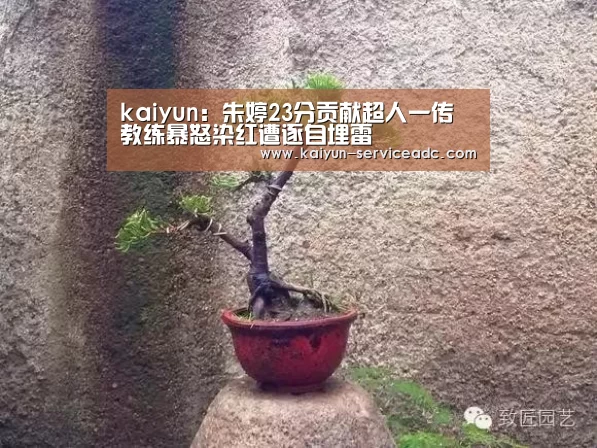 kaiyun:朱婷23分贡献超人一传 教练暴怒染红遭逐自埋雷(图1) 开云平台