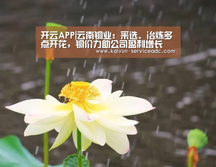 开云APP|云南铜业:采选、冶炼多点开花,铜价力助公司盈利增长(图1) 开云APP