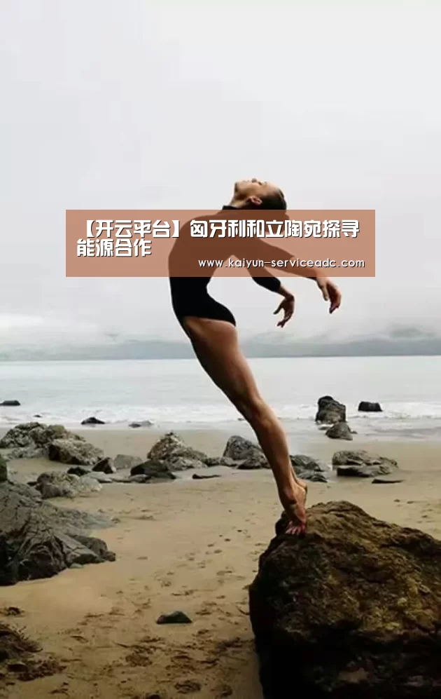 【开云平台】匈牙利和立陶宛探寻能源合作(图2) 开云APP