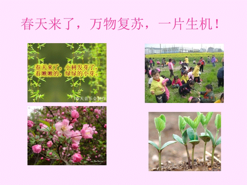 开云APP_上帝视角!梅西40米外神助攻 104秒连喂2饼又成头号大厨(图1) 开云APP