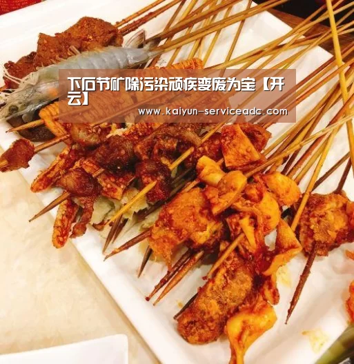 下石节矿除污染顽疾变废为宝【开云】(图1) 开云APP