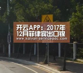 开云APP：2017年12月菲律宾出口镍矿环比大降76% 印尼出口量环比增加(图1)